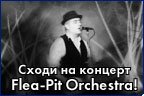    Flea-Pit Orchestra!
